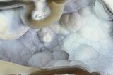 Unique, Agatized Fossil Coral Geode - Florida #82772-1
